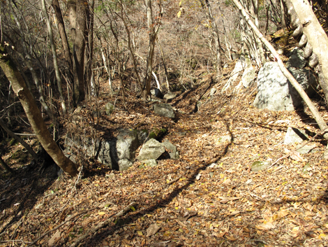 20161206hike (104)